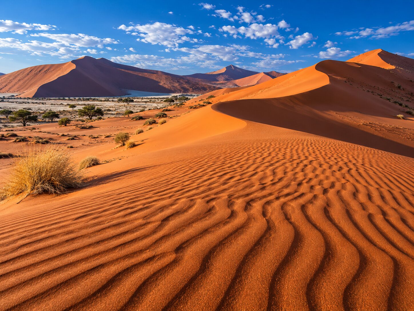 Namib Dunes Blue Sky colourful online jigsaw puzzle